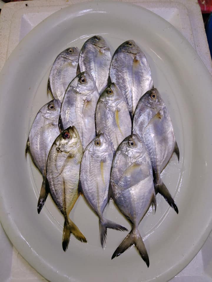 Delada's Fresh Seafoods | Alubijid