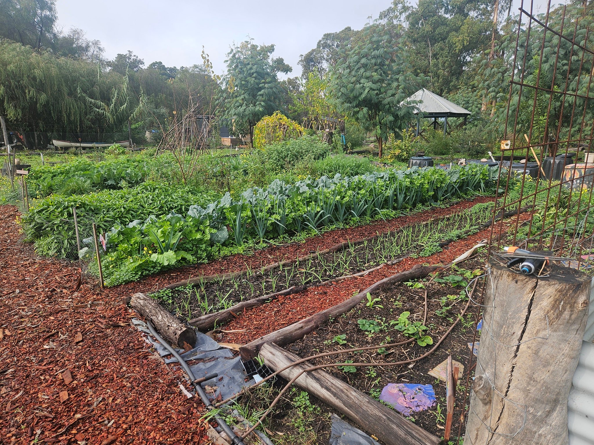 Powderbark Permaculture