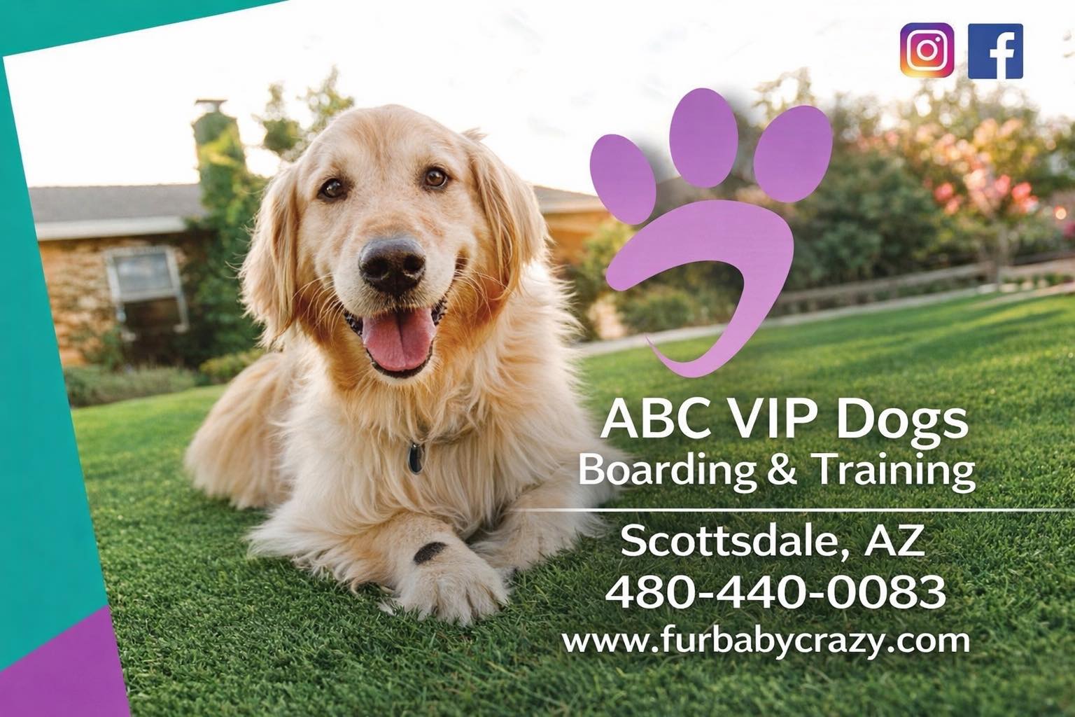Raintree Pet Resort... - Raintree Pet Resort + Medical Center
