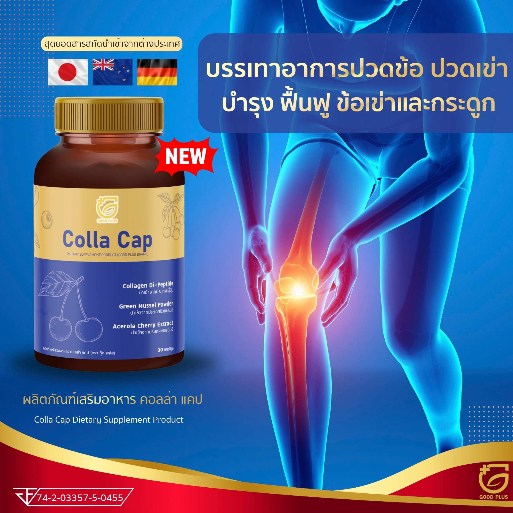 GoodPlus - คอลลาเจนไทป์ 2 (Collagen Type II) คือออะไร คอลลาเจนไทป์ 2 ...