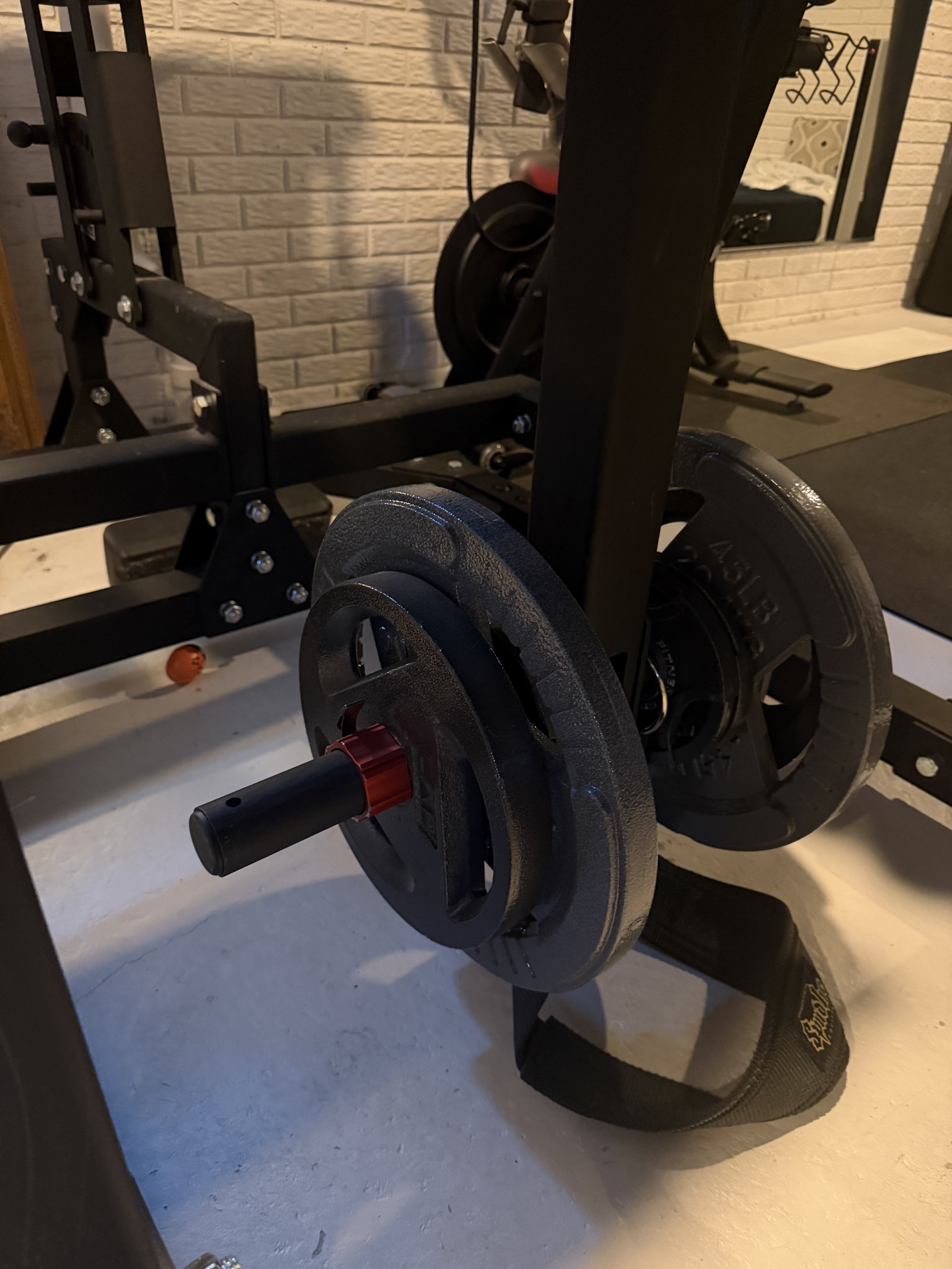 Rogue Fitness 