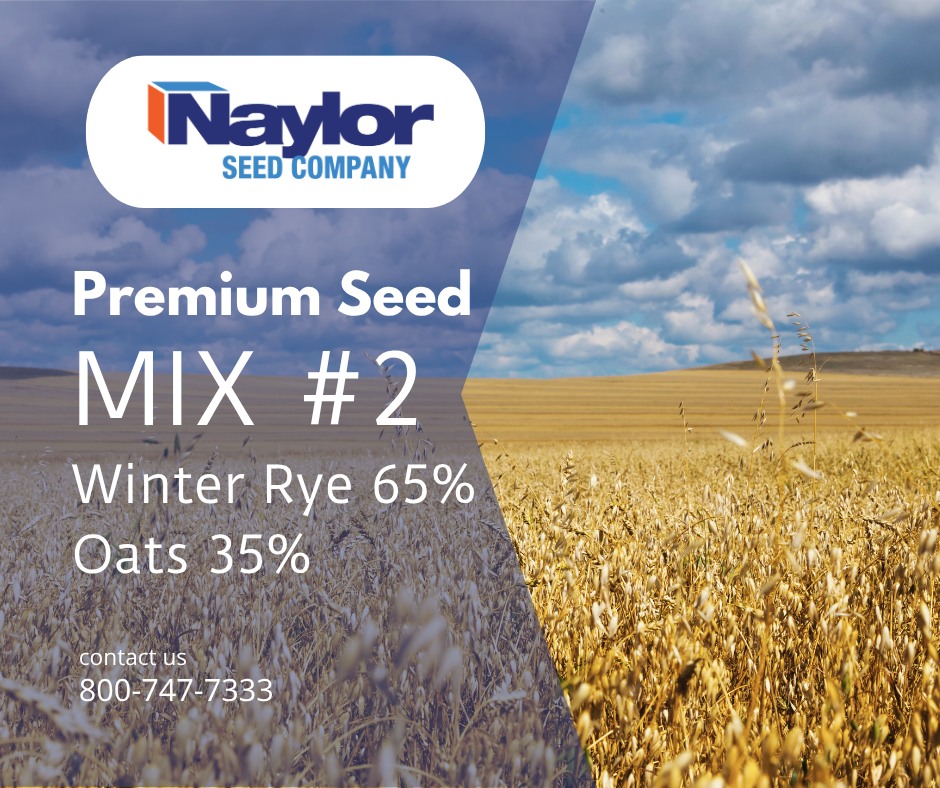 Naylor - 🌾 Rye & Oats Seed Mix — The Dynamic Duo for Your Soil! 🌱 ...