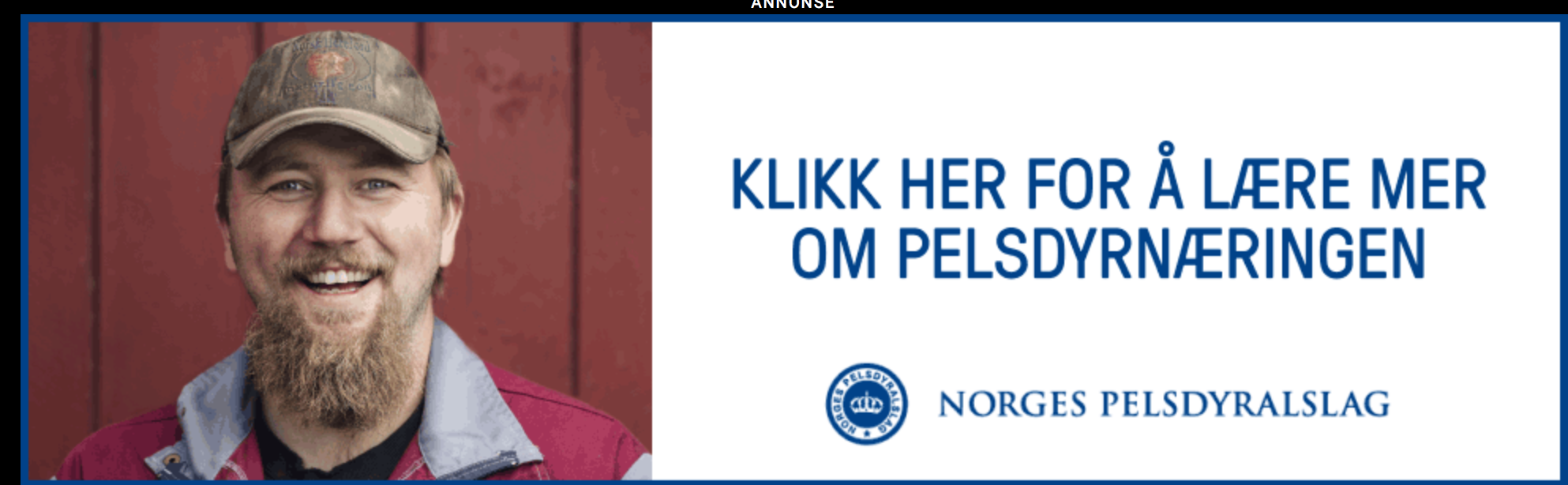 Jon Hjørnevik - Diktet «Pelsdyrkonsulent på friarfot» fekk litt ny