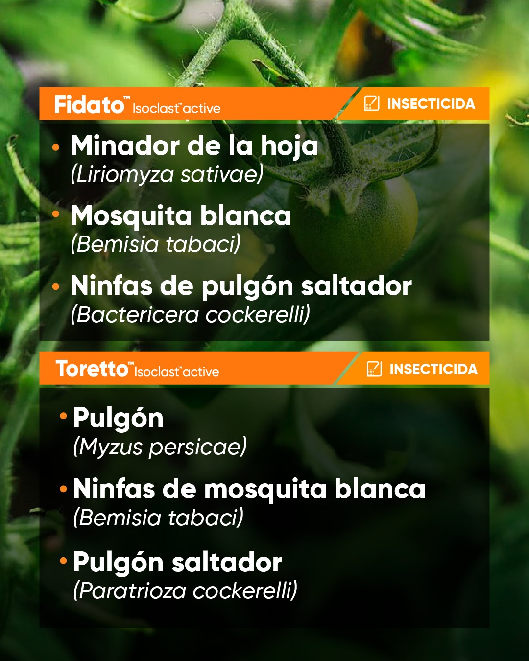 Corteva Agriscience - Conoce la protección que te Exalt™ para tu ...