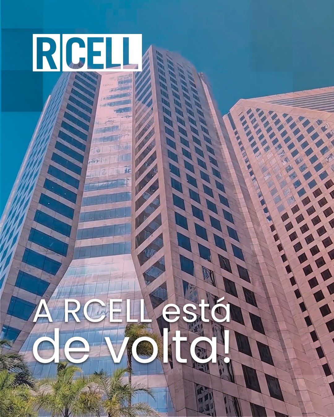 Rcell - O recesso chegou ao fim e a RCELL já está operando em ritmo ...