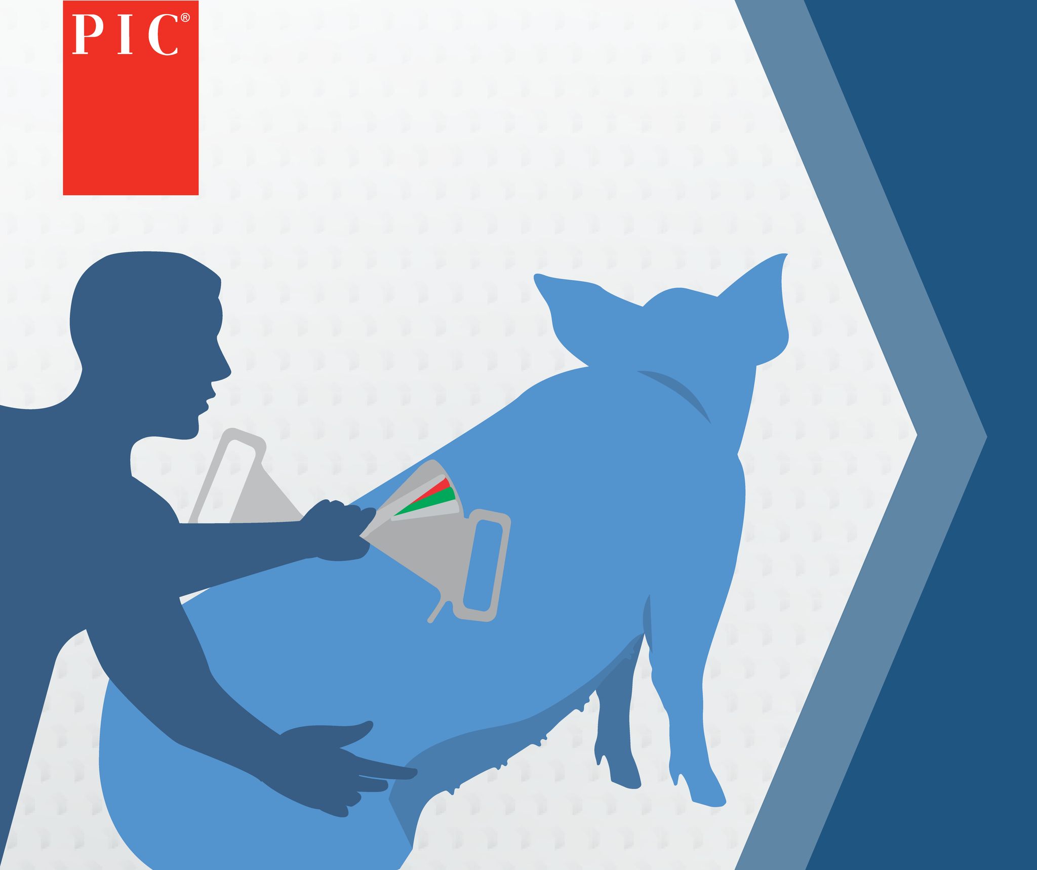 PIC - Accurate body scoring ensures greater genetic potential is ...