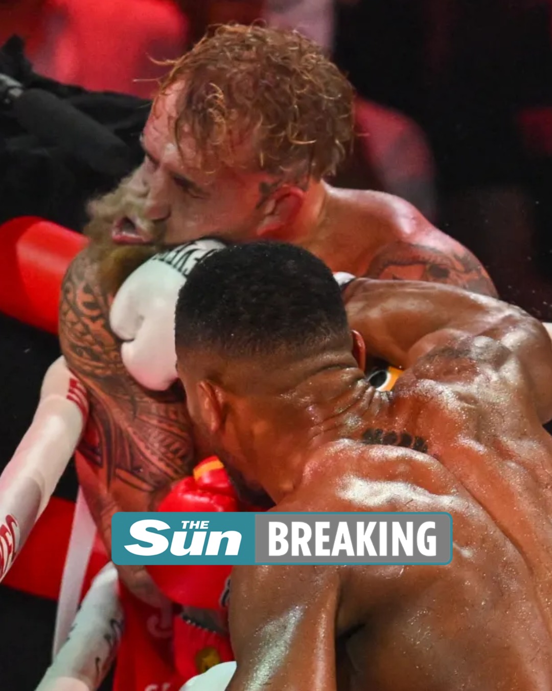 Boxing - BREAKING: Jake Paul banned from boxing immediately after AJ ...