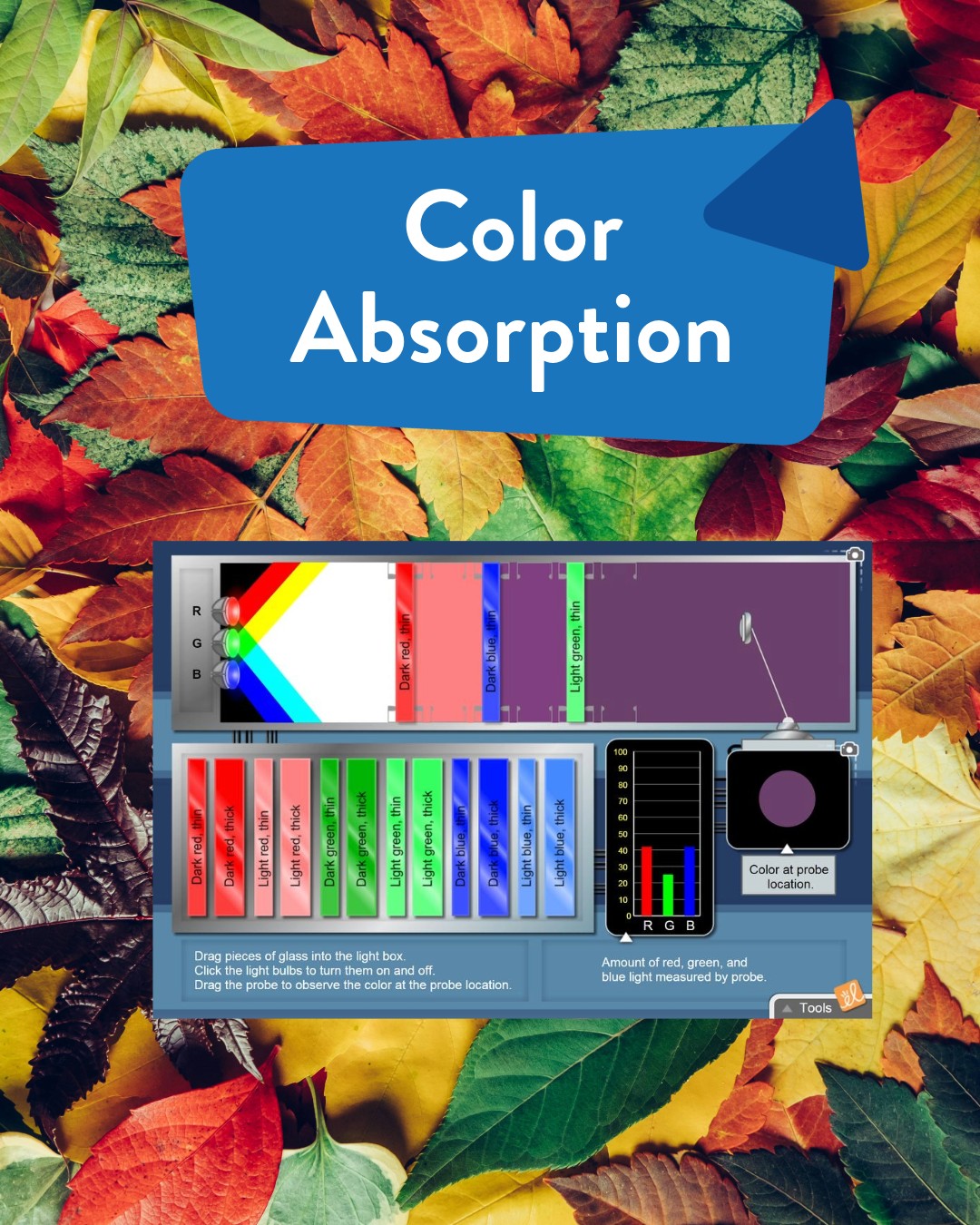 ExploreLearning - Ever wonder why fall foliage looks so vivid to the ...