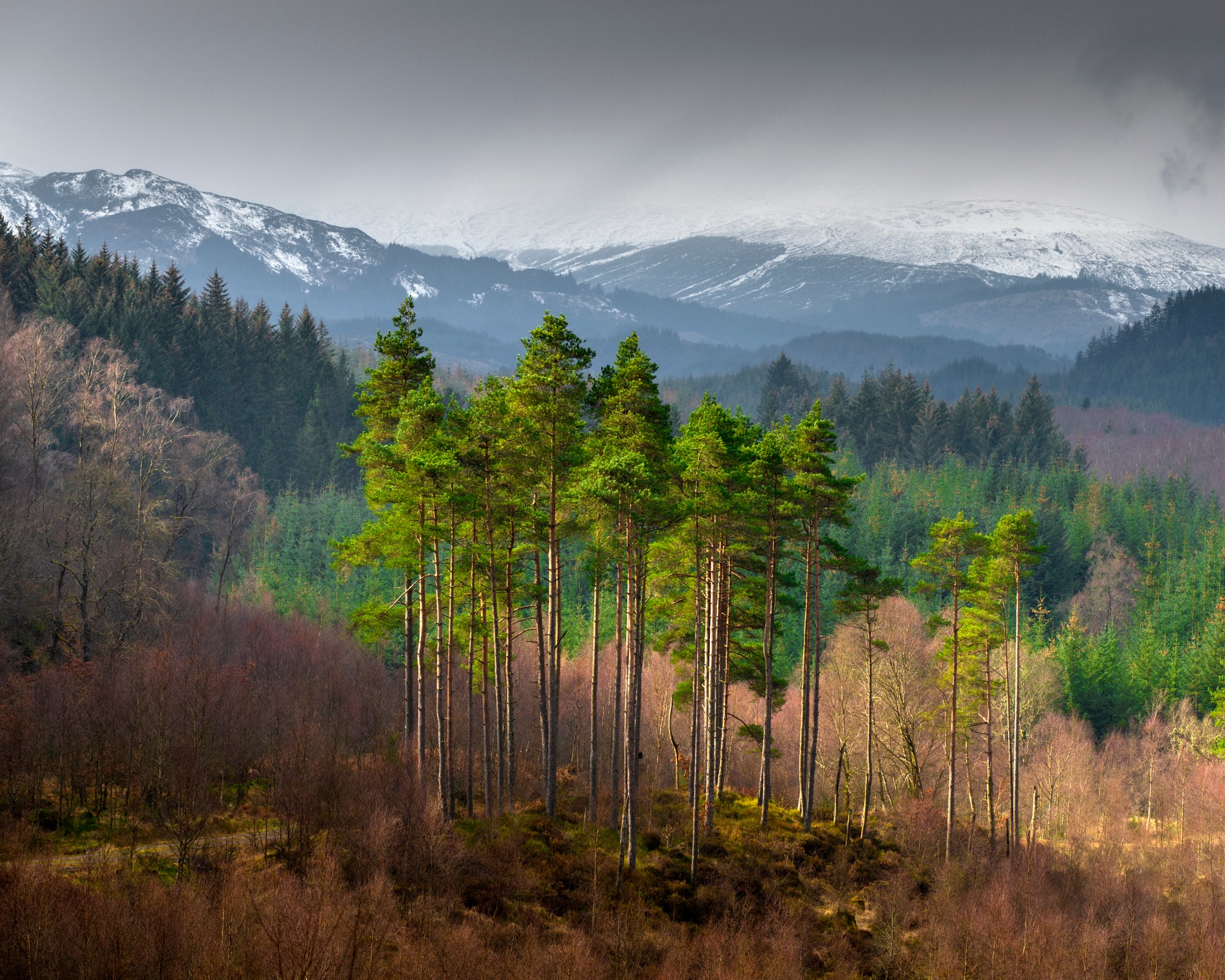 Scottish National Rural Network - In our latest blog, find out about ...