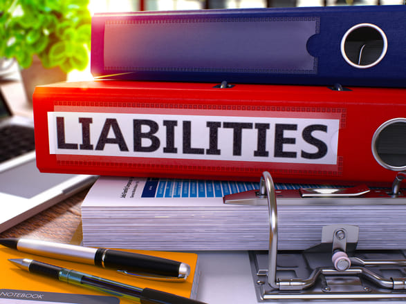 MIKE - Language 4, liability: It is simply those things that takes ...