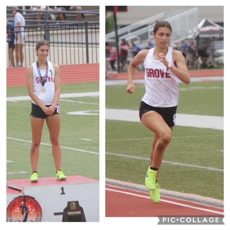 Grove Sun - Ridgerunners excel at the State Track and... | Facebook