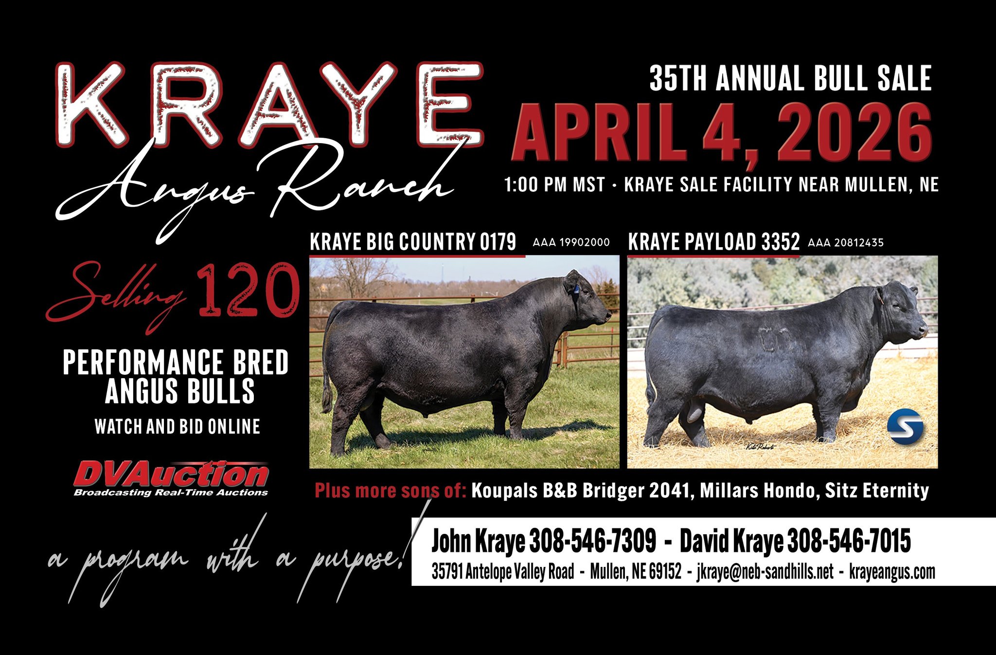 Kraye Angus Ranch | Mullen NE