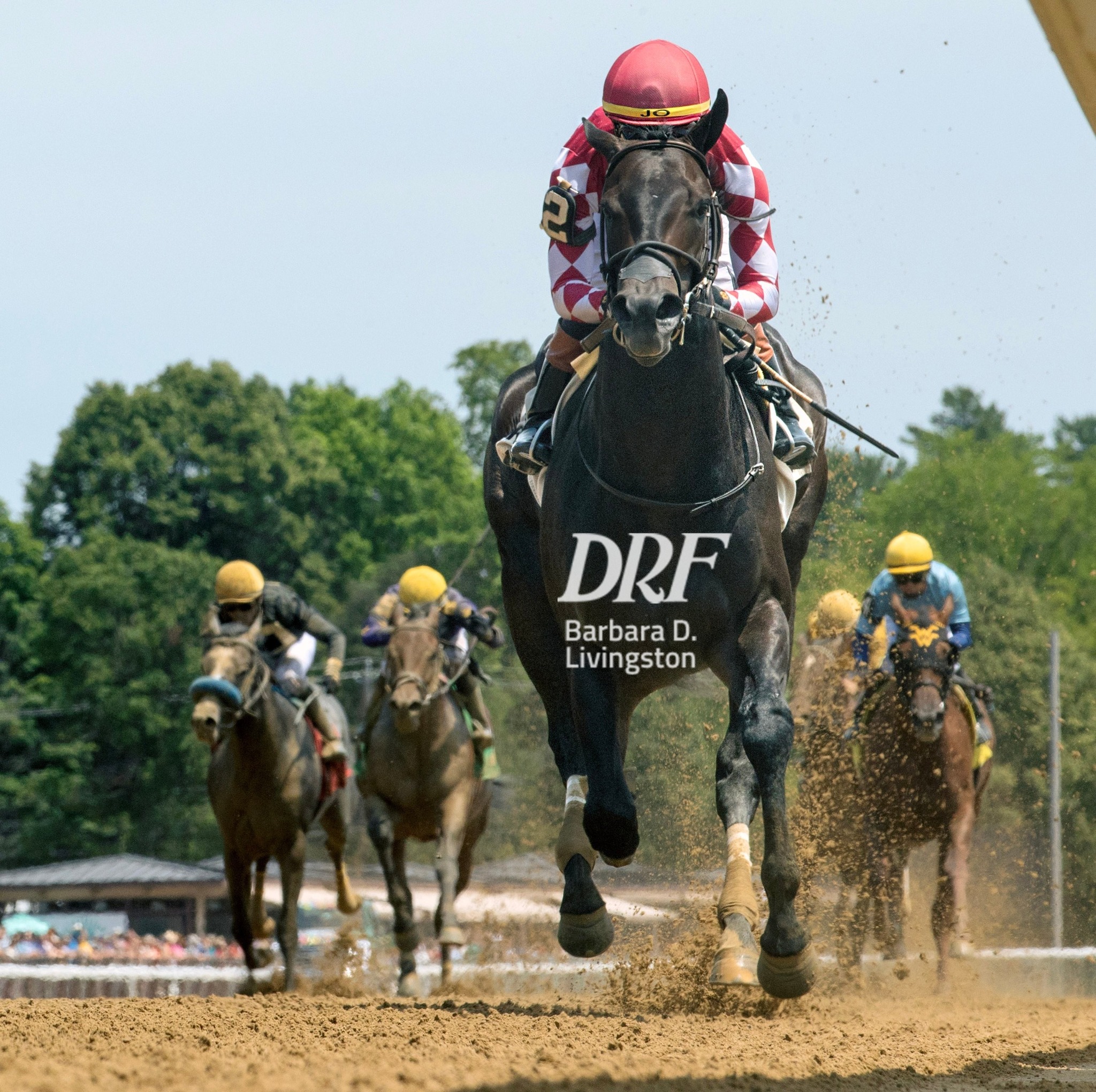 👀 👀Ewing was impressive winning his... - Daily Racing Form | Facebook