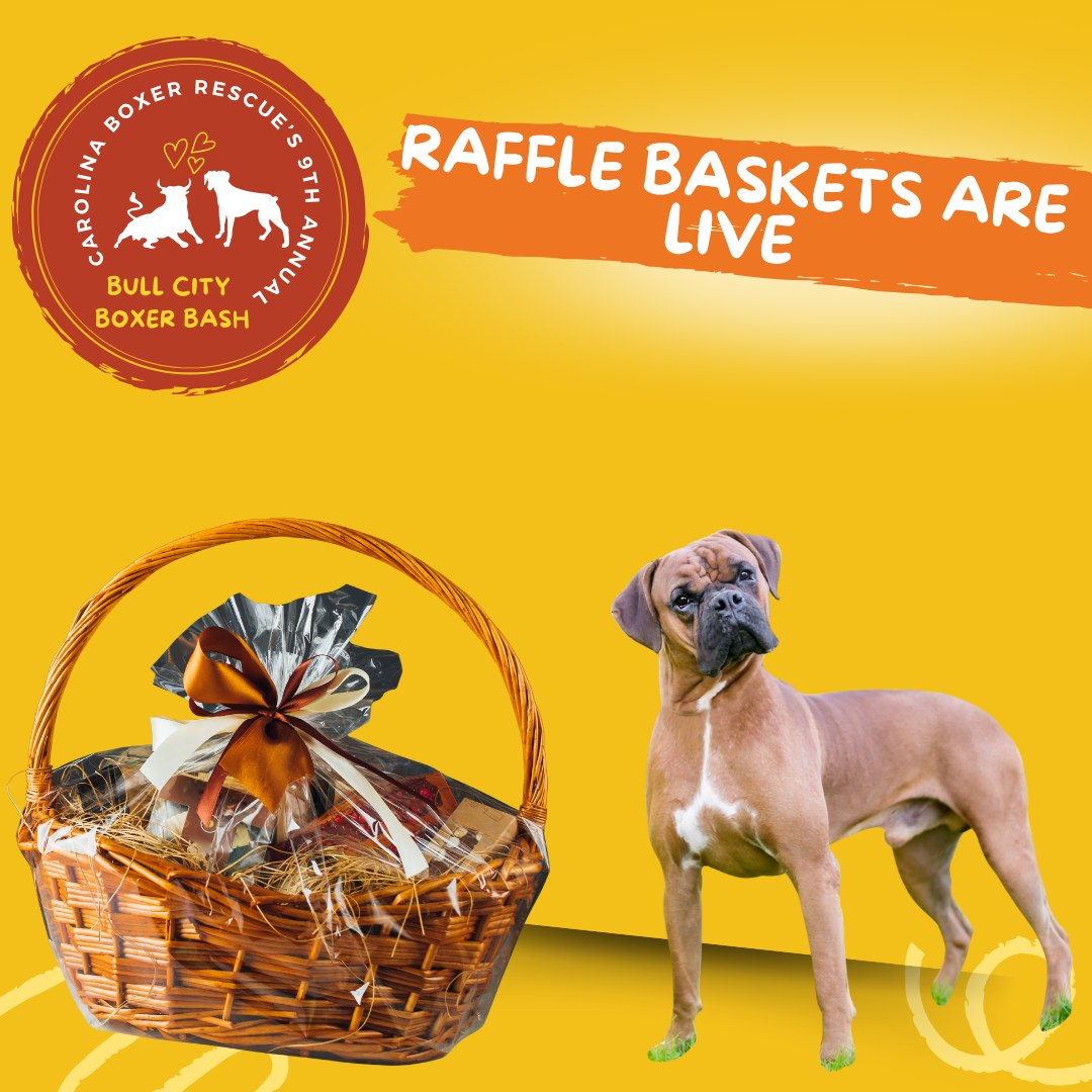🎉 Our Boxer Bash Raffle Baskets... - Carolina Boxer Rescue | Facebook
