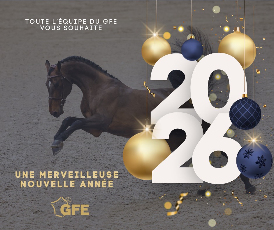 GFE - Toute l’équipe du GFE vous souhaite une très belle année 2026 ...