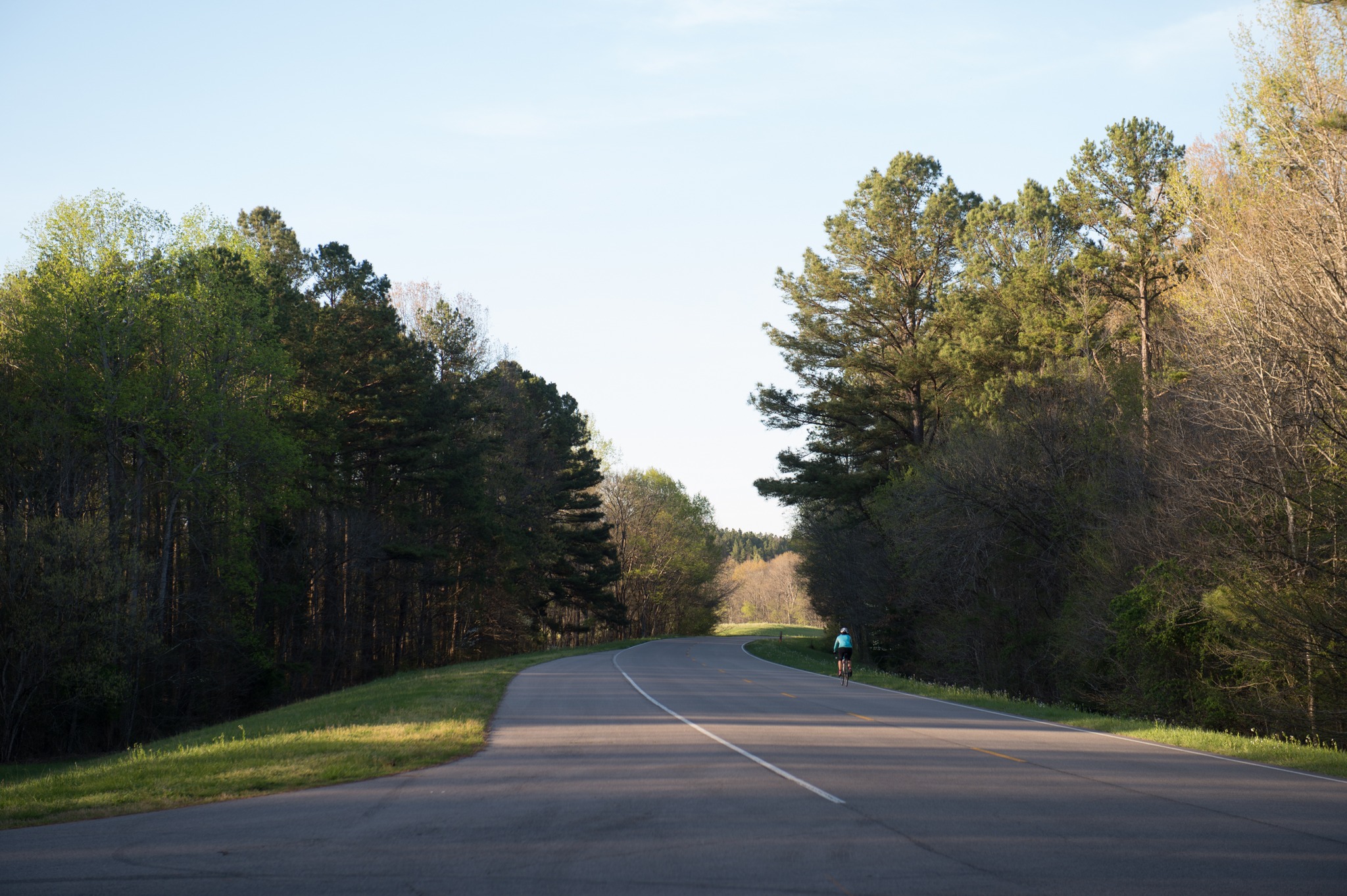 The Natchez - 🛣️ The Natchez Trace Parkway has been named one of the ...