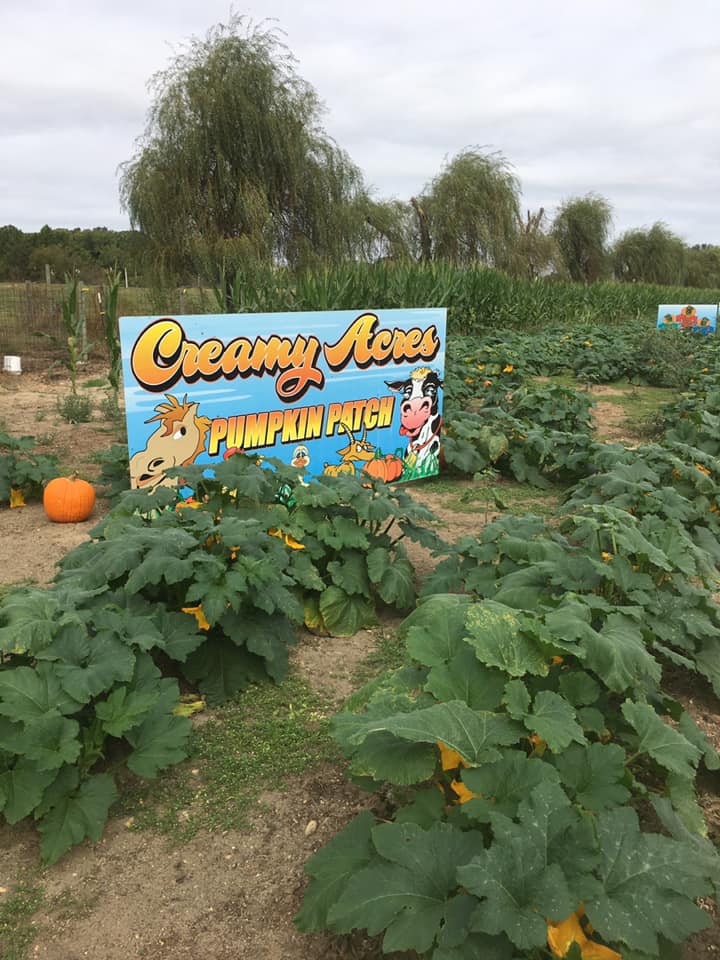 Fall Family Fun