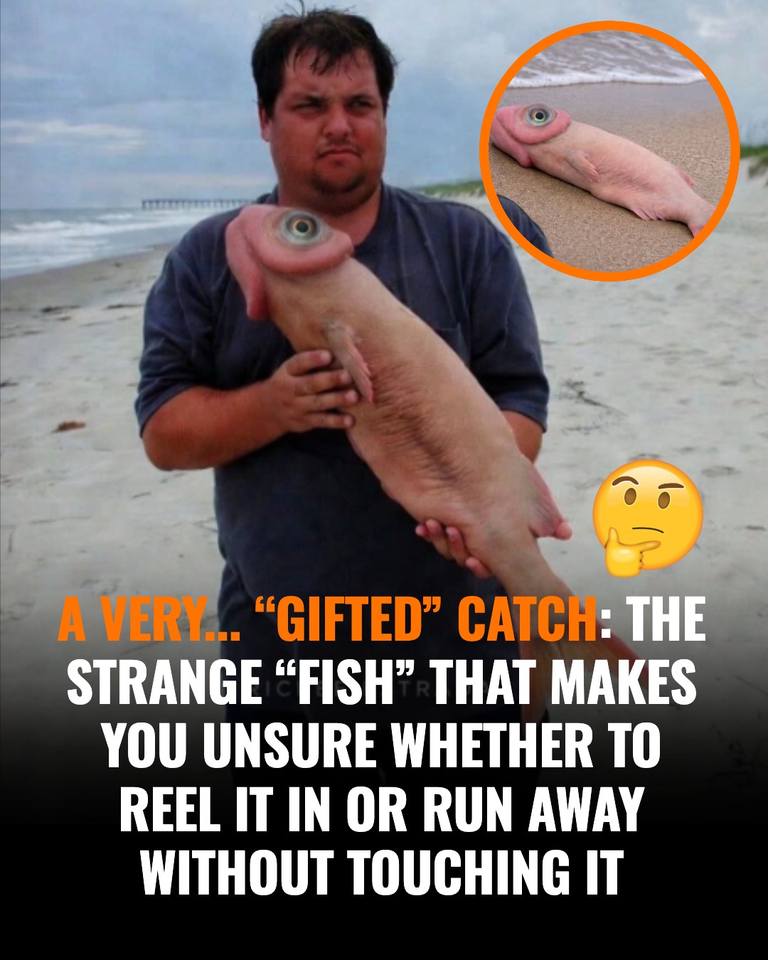 dick shaped fishing lure Hilarious Penis Built with the same durable construction as the rest of the line with Xtra Strong components including hook hangers Funny Gag Fishing Gift Penis