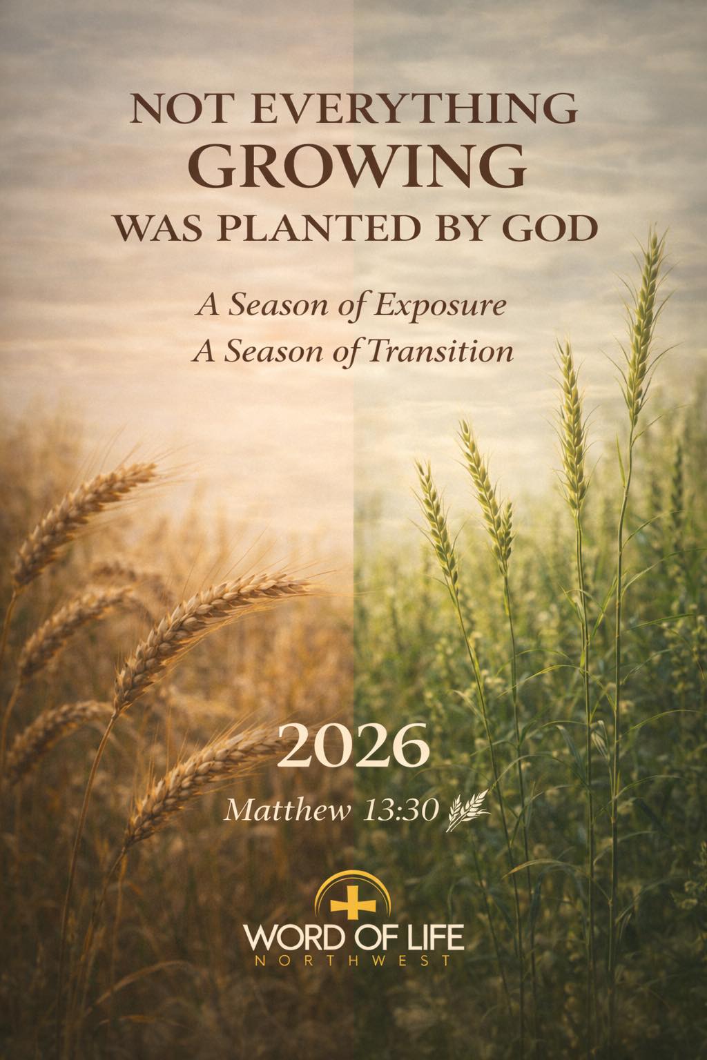 Word - Growing into 2026 The parable of the wheat in and the tares in ...