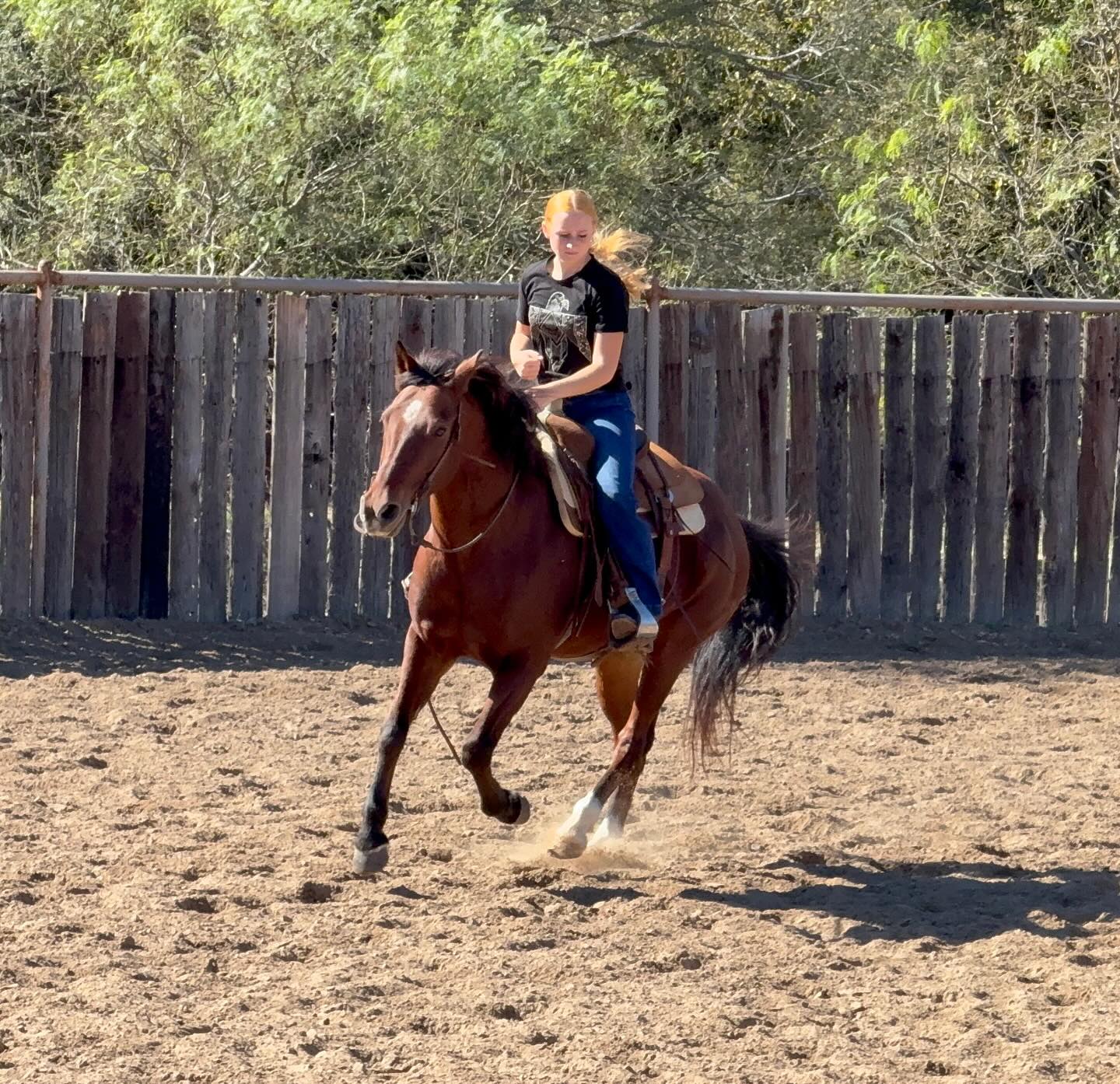TnT Ranch & Tom Davis... - TnT Ranch & Tom Davis Horsemanship