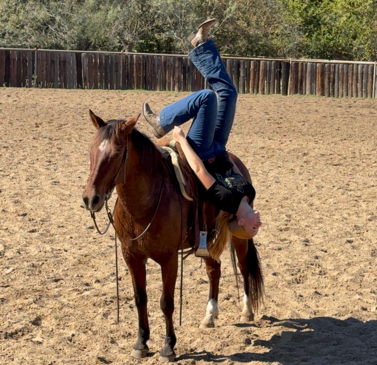 TnT Ranch & Tom Davis... - TnT Ranch & Tom Davis Horsemanship