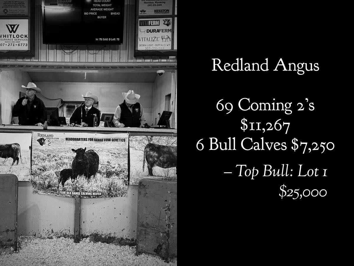 Kurt - Detailed sale report: https://www.angus.org/AngusProductions ...