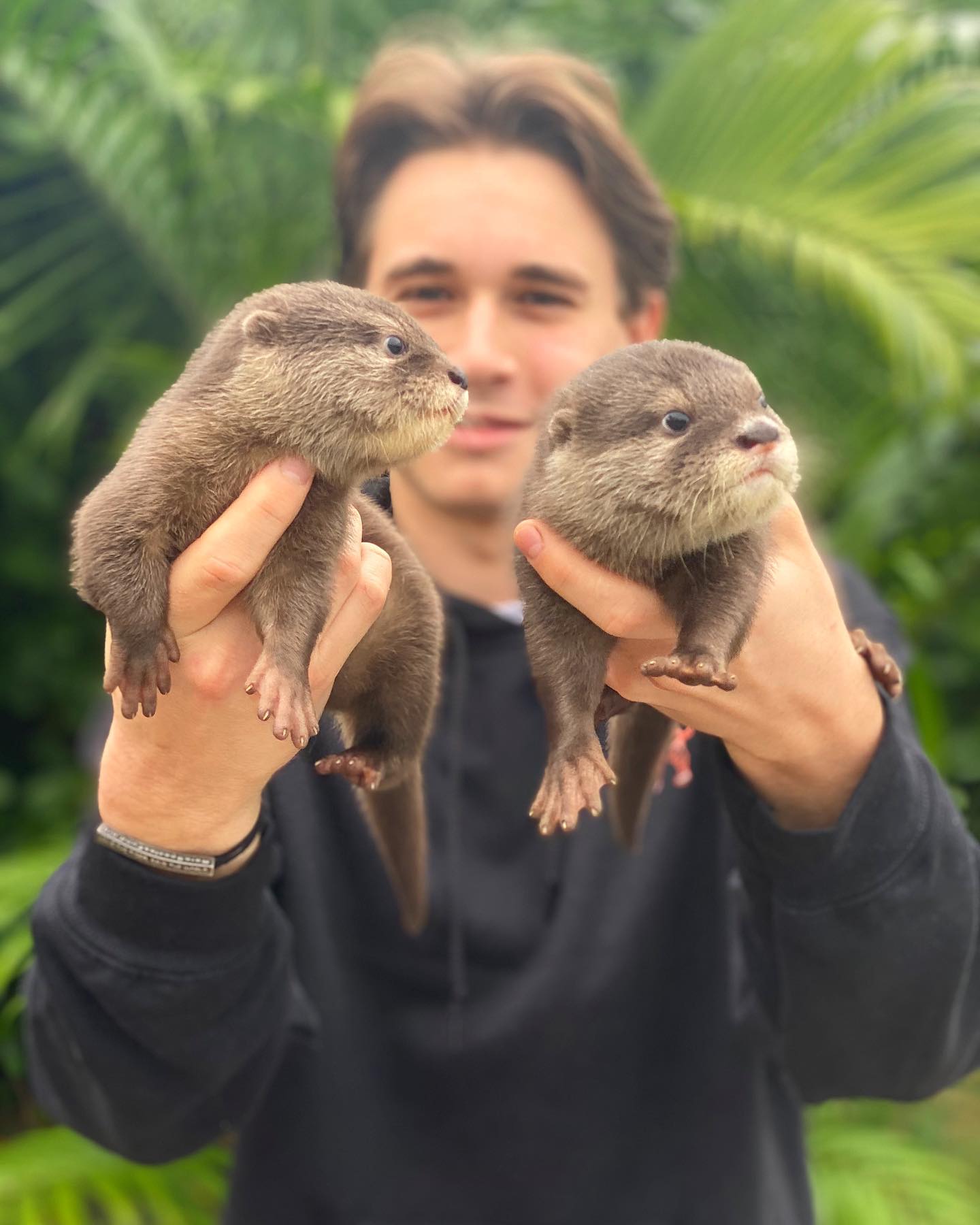 Jacob Feder | Miami FL