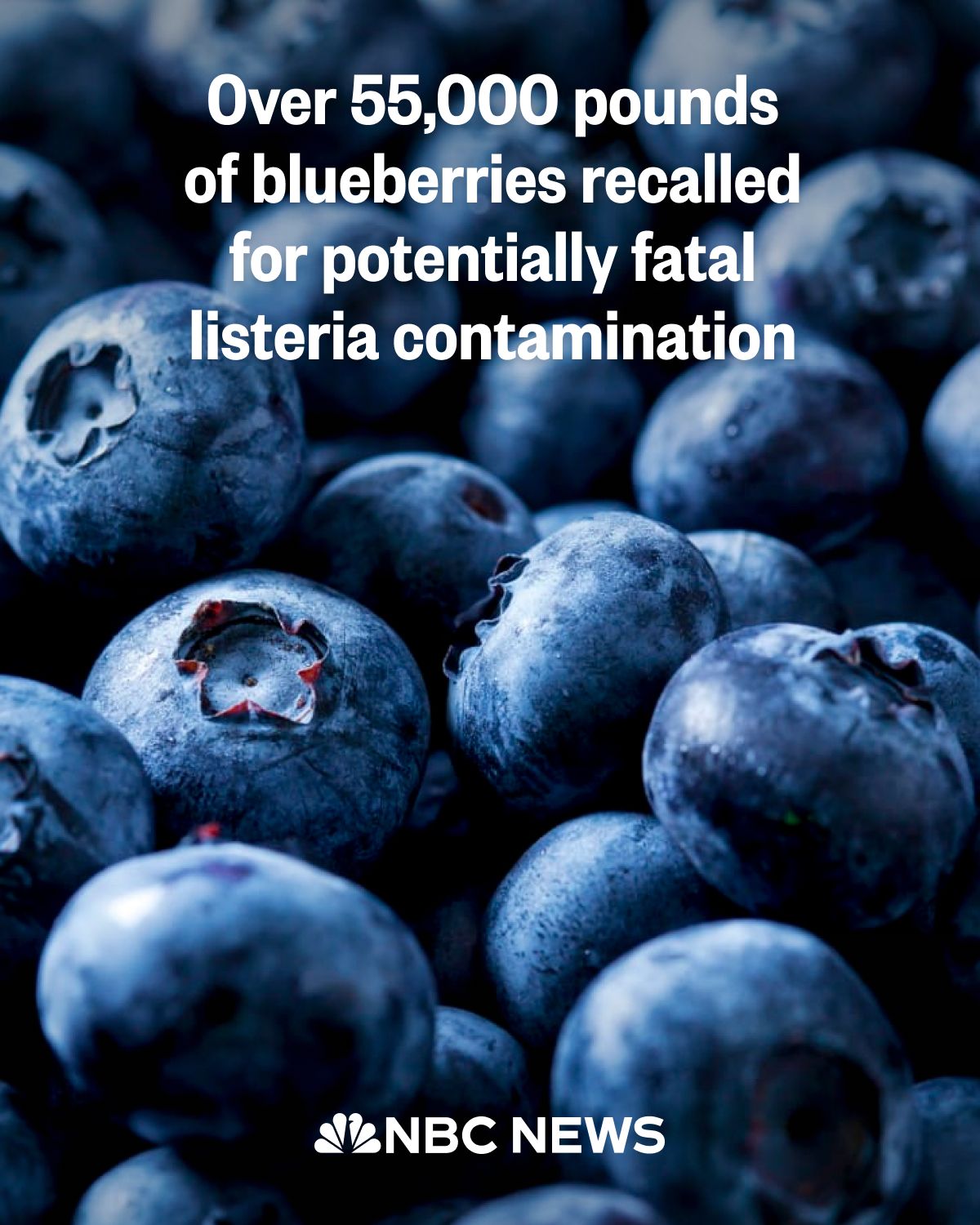 NBC - More than 55,000 pounds of frozen blueberries have been recalled ...