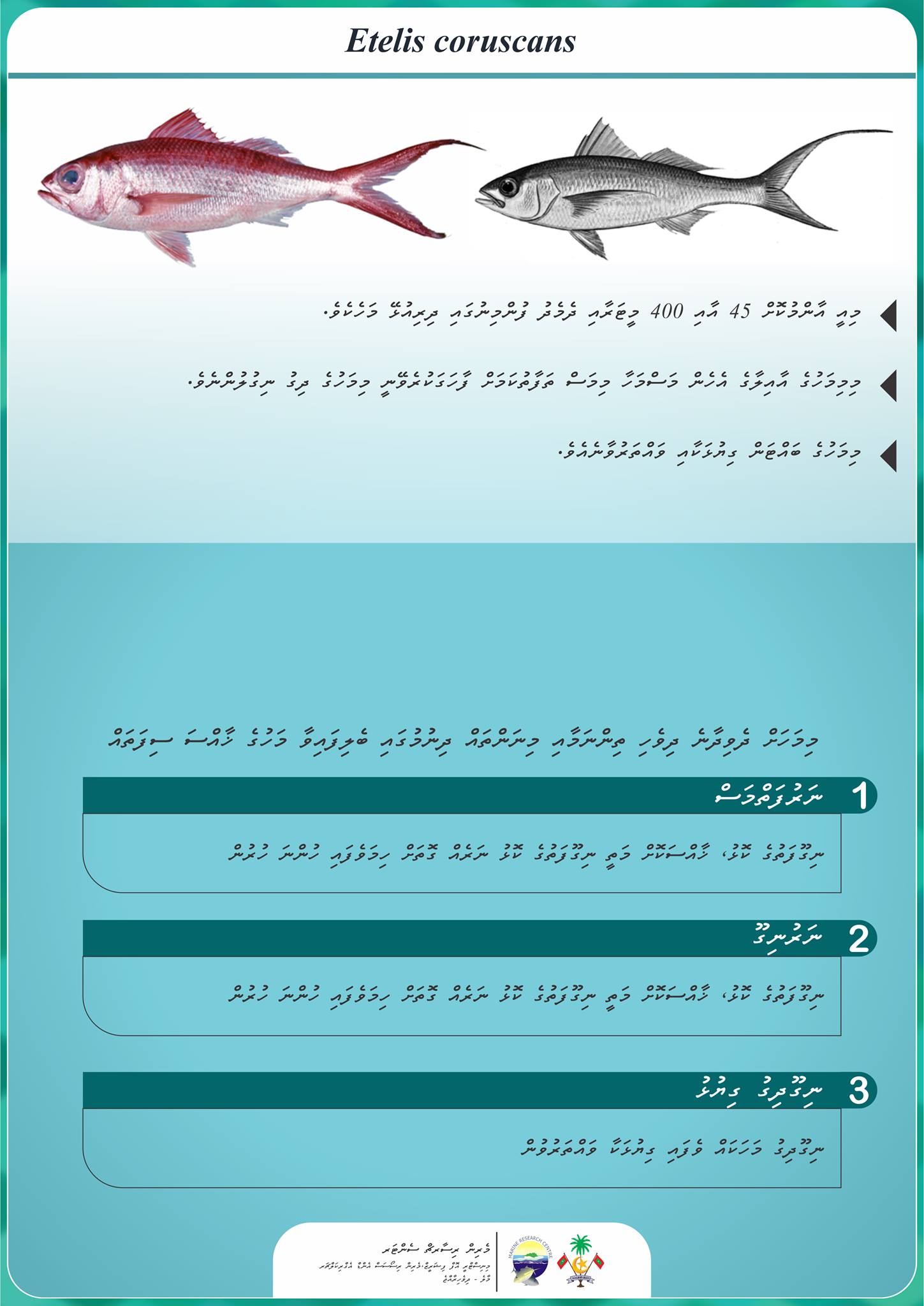 We're excited to open... - Maldives Marine Research Institute | Facebook