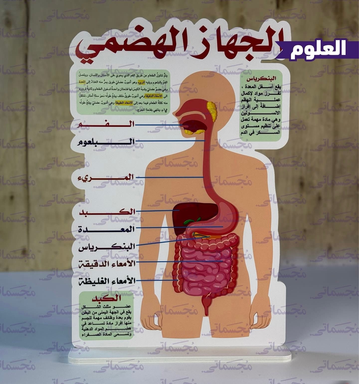 مكتبة السيدية