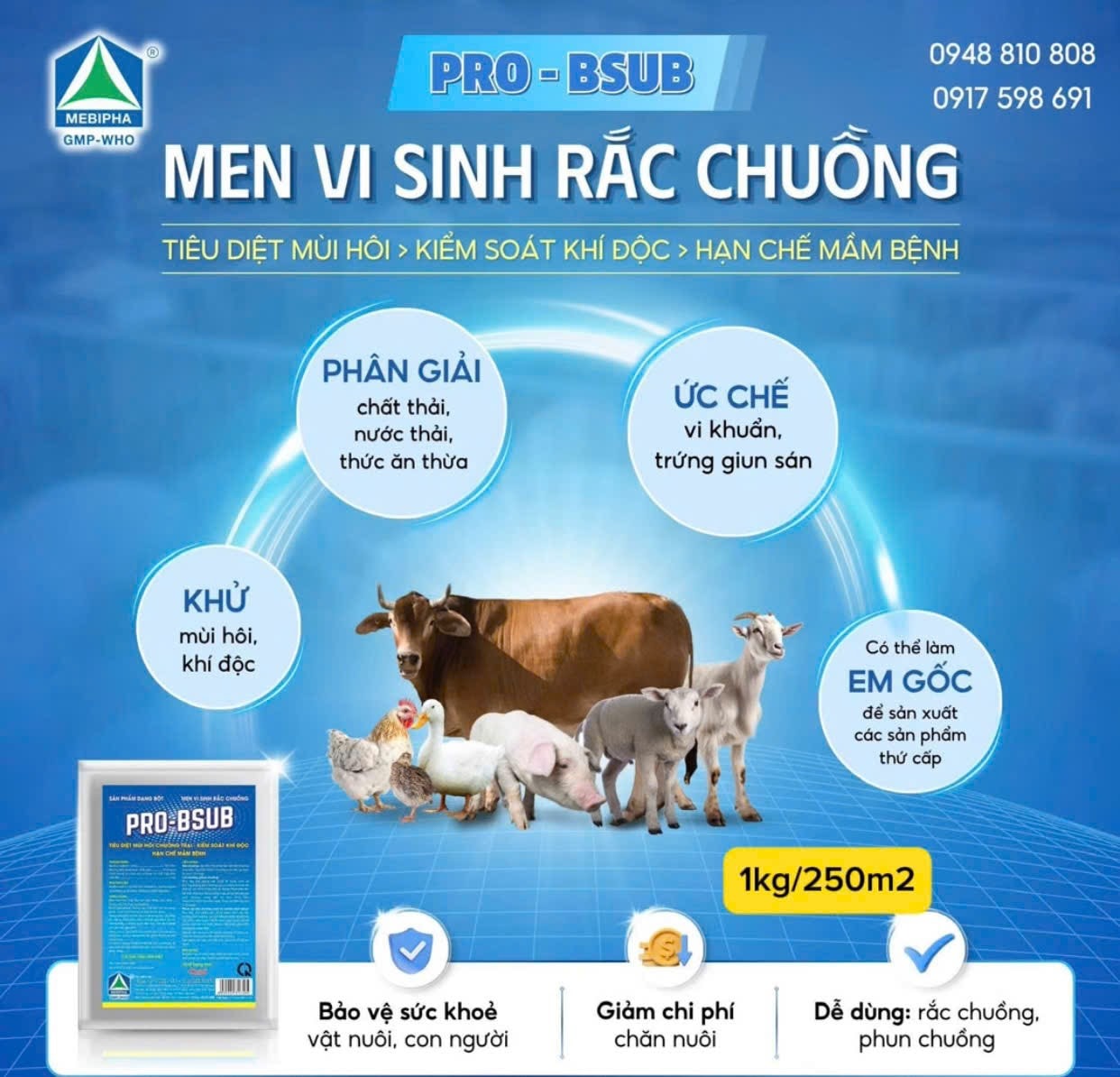 Mebipha - 🔰🔰🔰 PRO-BSUB - MEN VI SINH RẮC CHUỒNG 🔰🔰🔰 💎TIÊU DIỆT MÙI HÔI ...