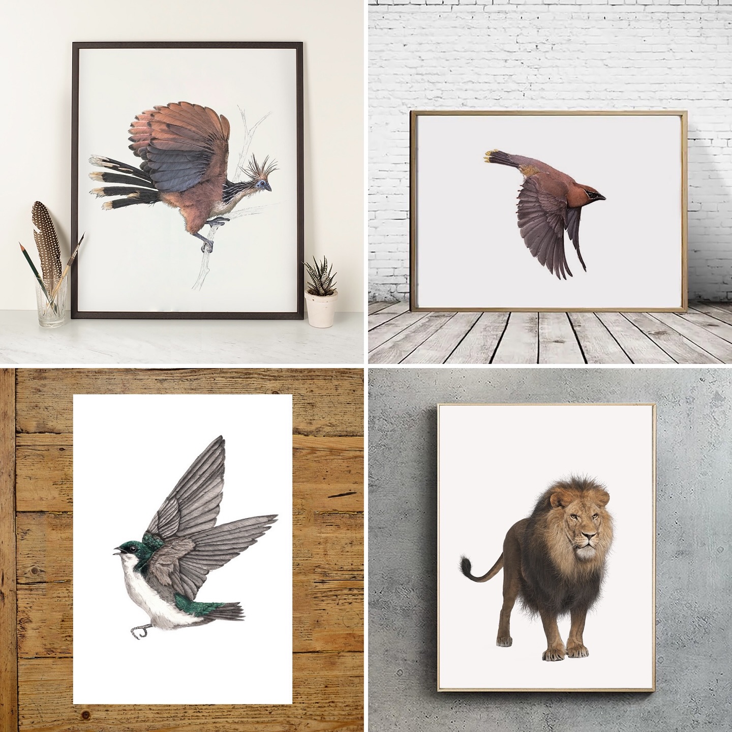 Ben Rothery Illustrator | London