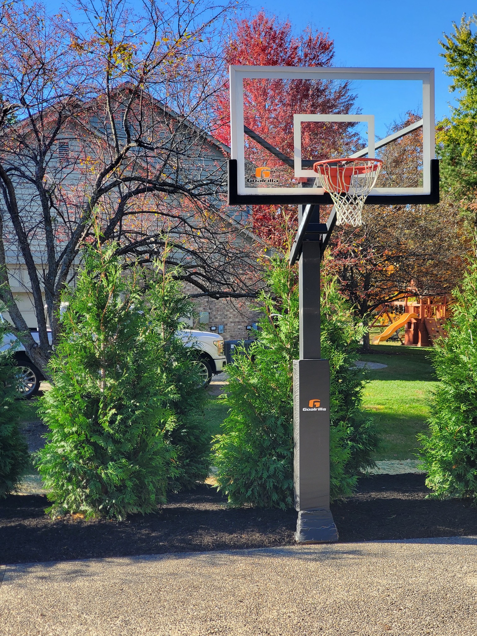 Treeze