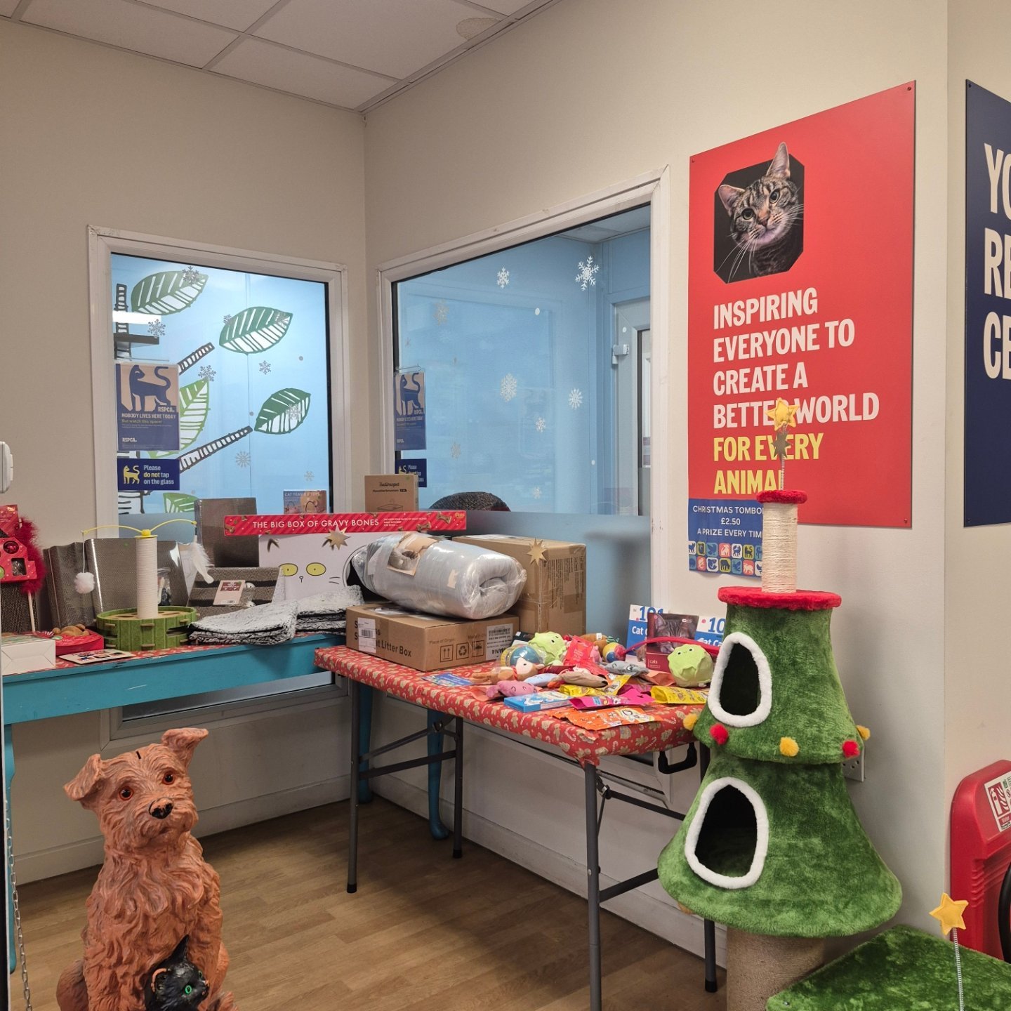 rspca-friern-barnet-adoption-centre-london