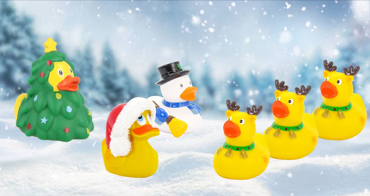 Ducks In The Window - It's the weekend and summer is almost here. We're ...