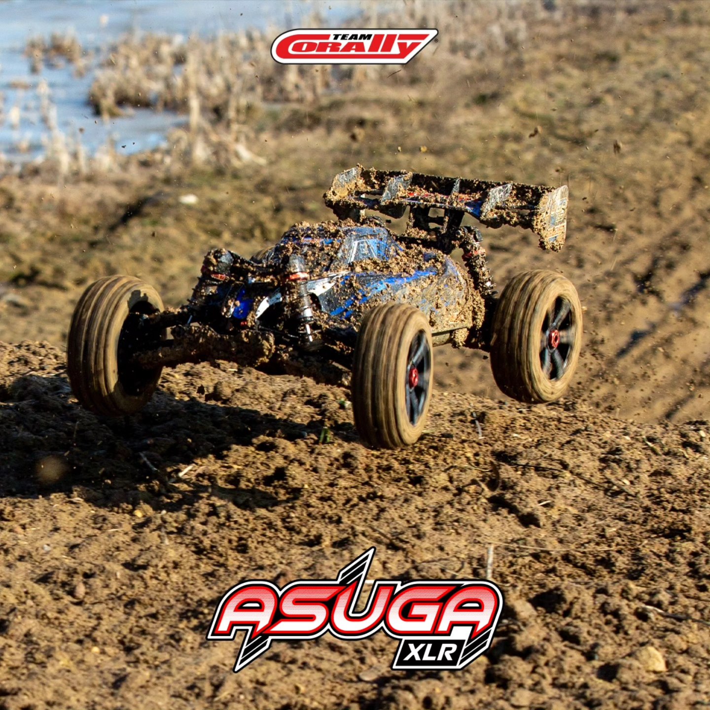 The Asuga XLR stands 15% taller than traditional 1/8 buggies