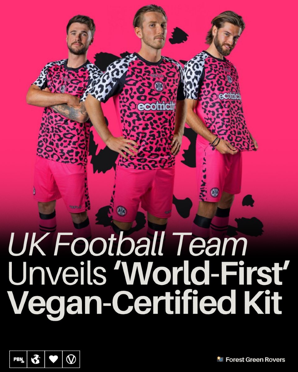 Plant - Forest Green Rovers FC (FGR) has unveiled the first-ever vegan ...