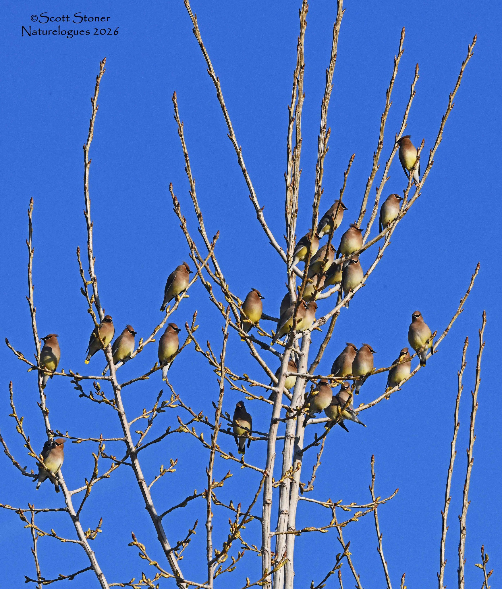 Friends of Five Rivers | Delmar NY