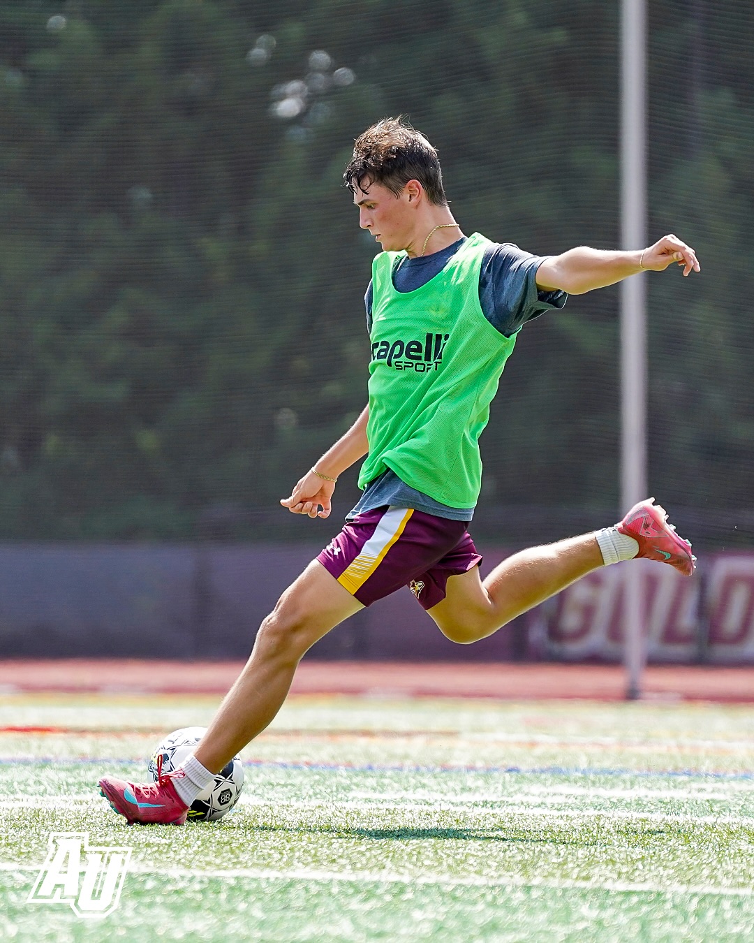 Alvernia University Athletics | Reading PA