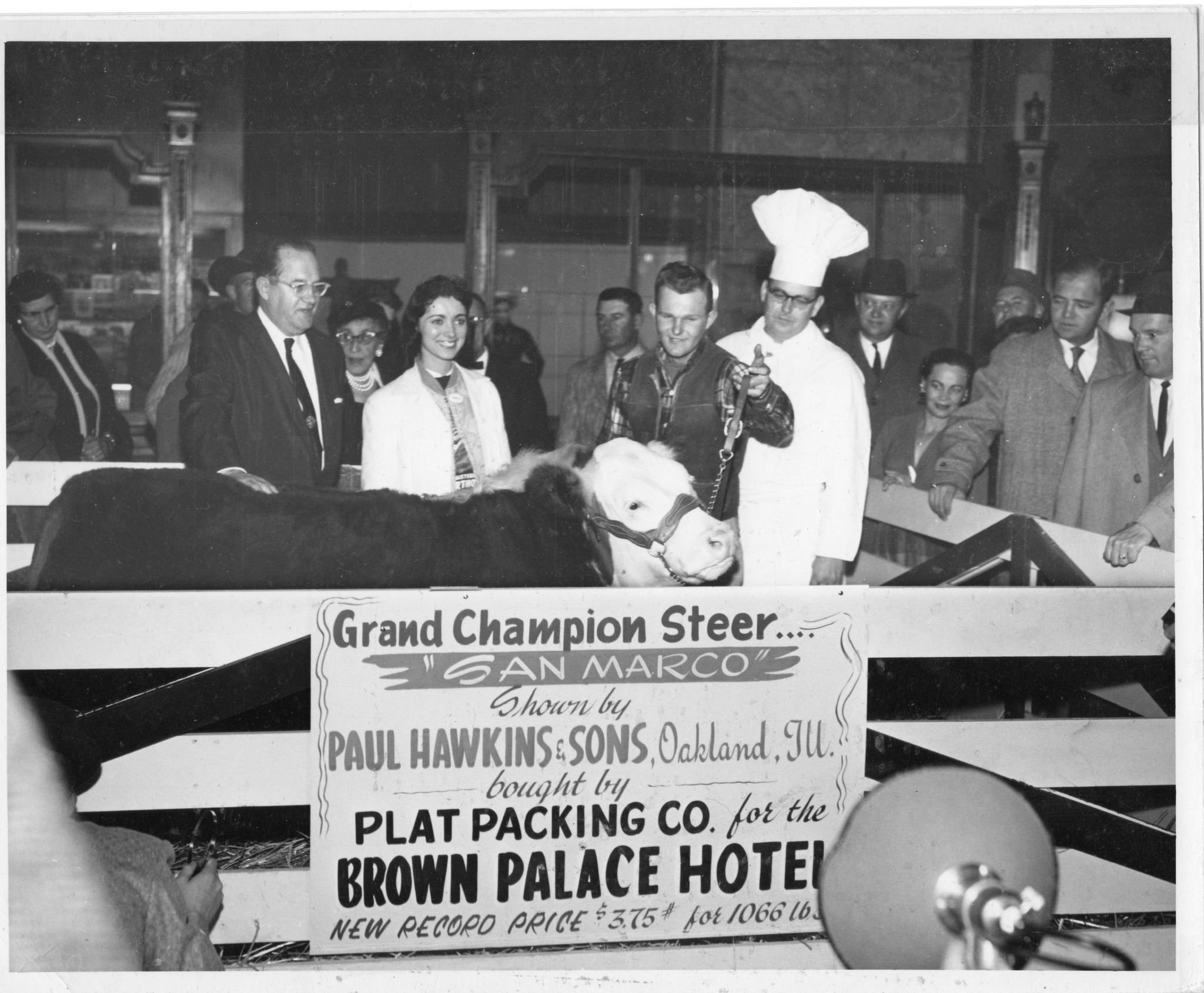 The... - The Brown Palace Hotel and Spa, Autograph Collection