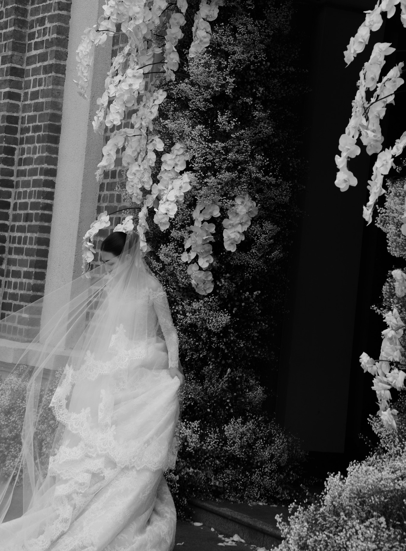Ramer photography