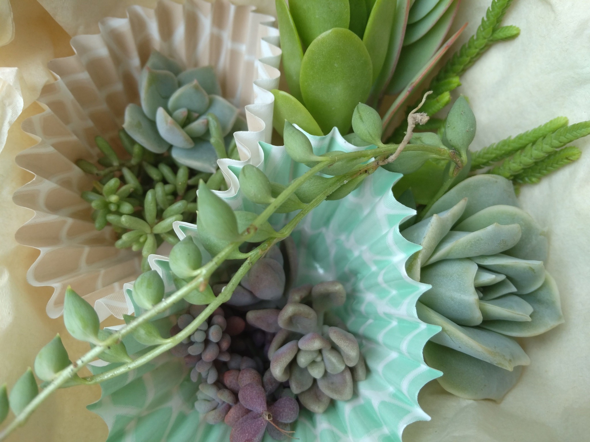 8月3日
