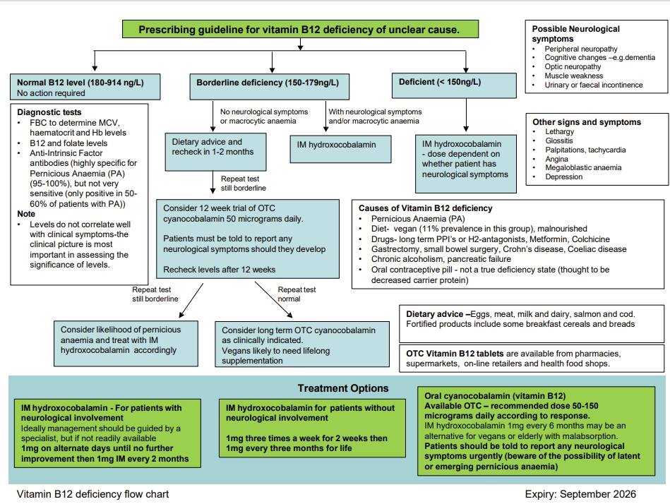 Vitamin B12 deficiency treatment guidelines