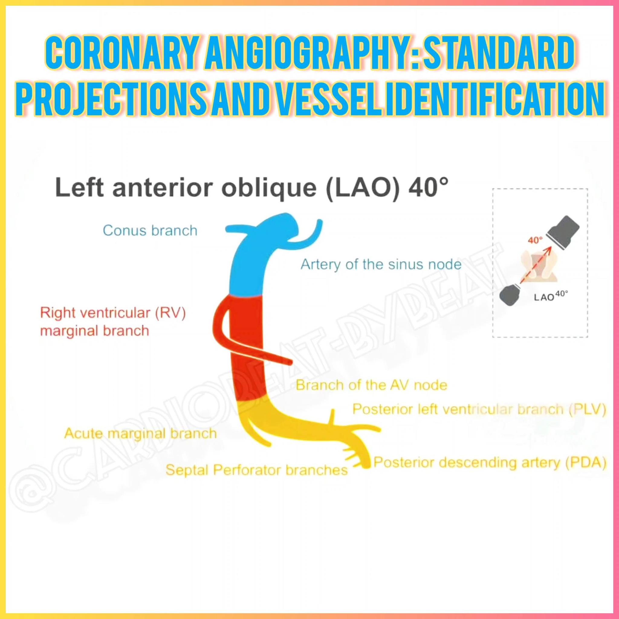 Abdallah - 📉🌟 Explore the ECG characteristics of electrolyte imbalances ...