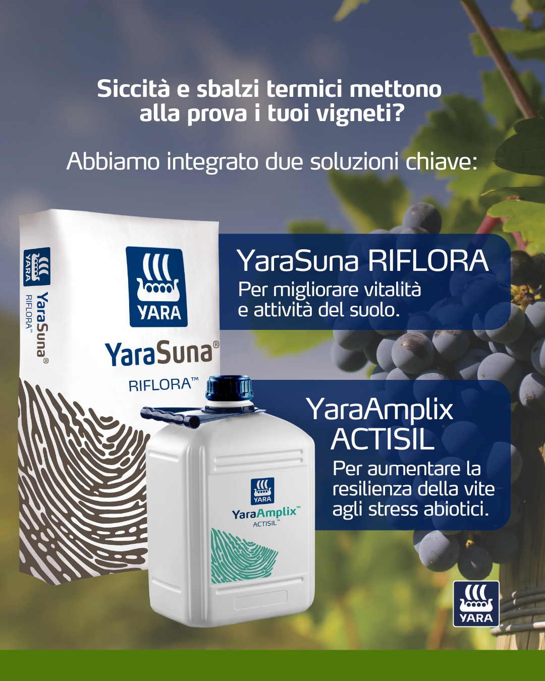 Yara Italia - Yara Italia added a new photo.