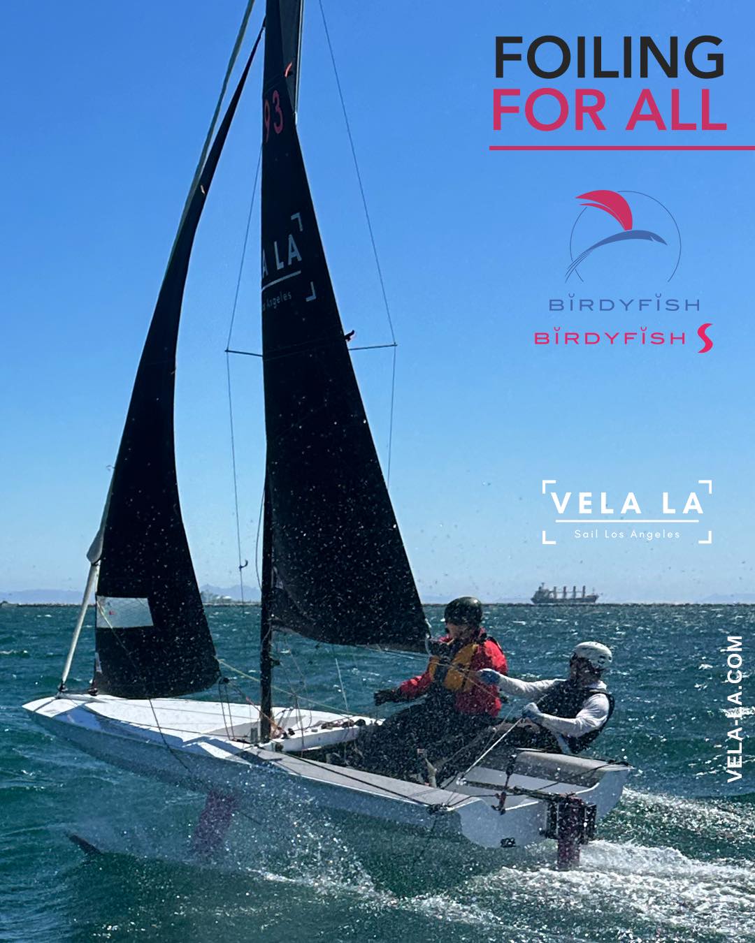 Vela LA | Torrance CA