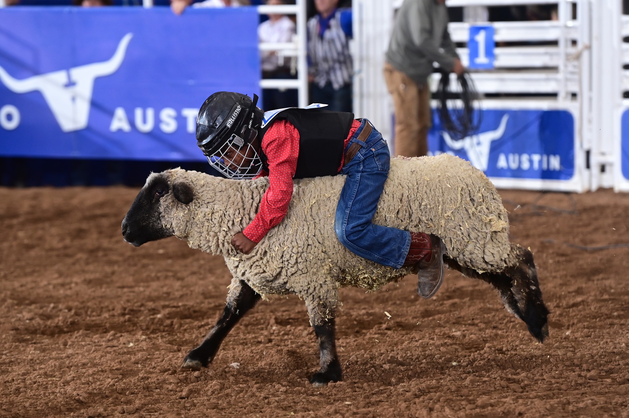 Rodeo Austin - Mutton Bustin' in the Rodeo Arena for 2026... | Facebook