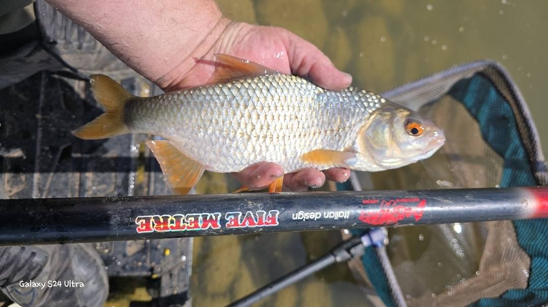 Dannys Angling Blog added a new photo. - Dannys Angling Blog