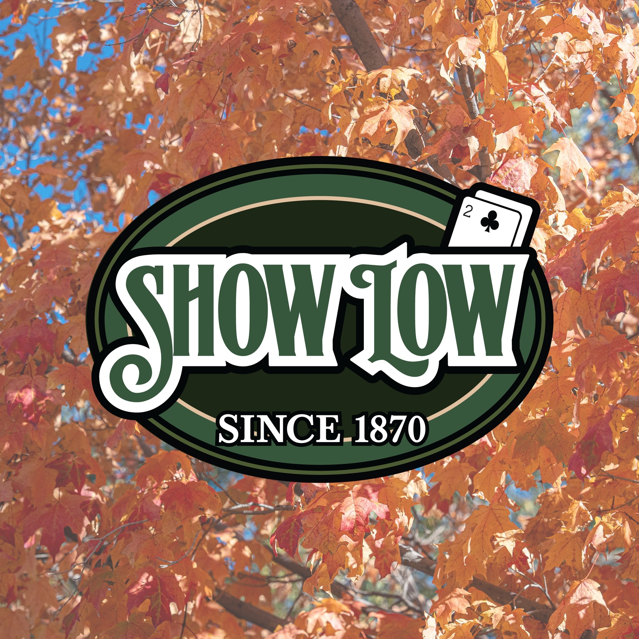 🍬 The Color Run & Candy Scramble... - The City of Show Low | Facebook