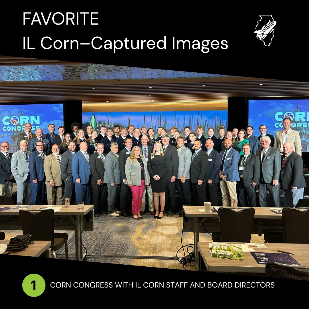 IL Corn - 📸 IL Corn Staff Photo Picks 🌽 These aren’t... | Facebook